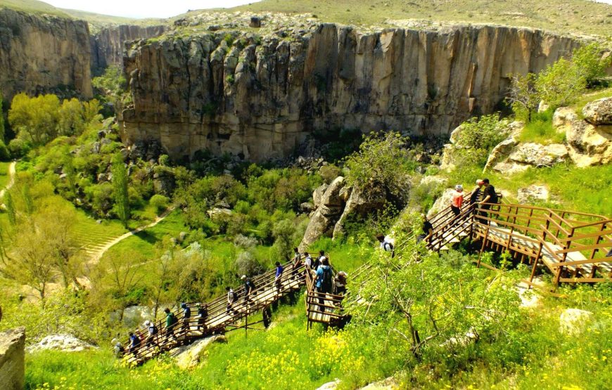 Green Tour