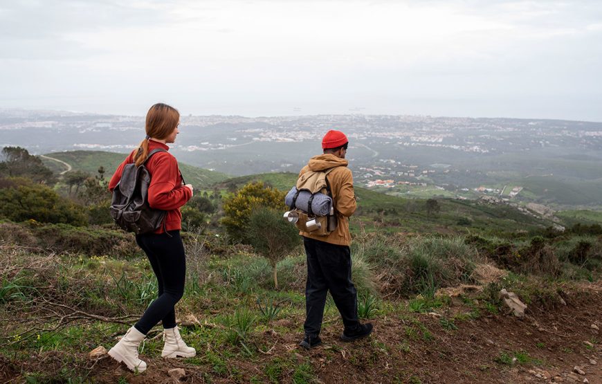 Tour With Professional Tour Guide (Private)