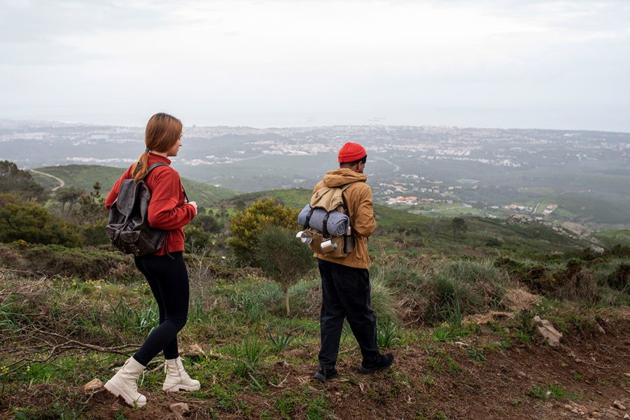 Tour With Professional Tour Guide (Private)