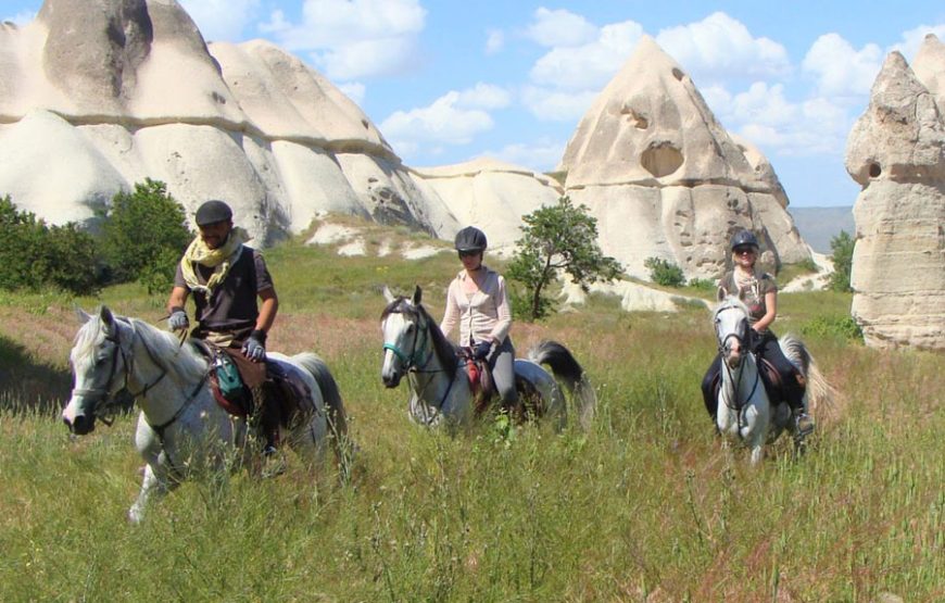 Horse & Camel Riding Tour
